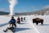 Yellowstone Snowmobile Lottery 2025–26: How to Apply for Winter Permits